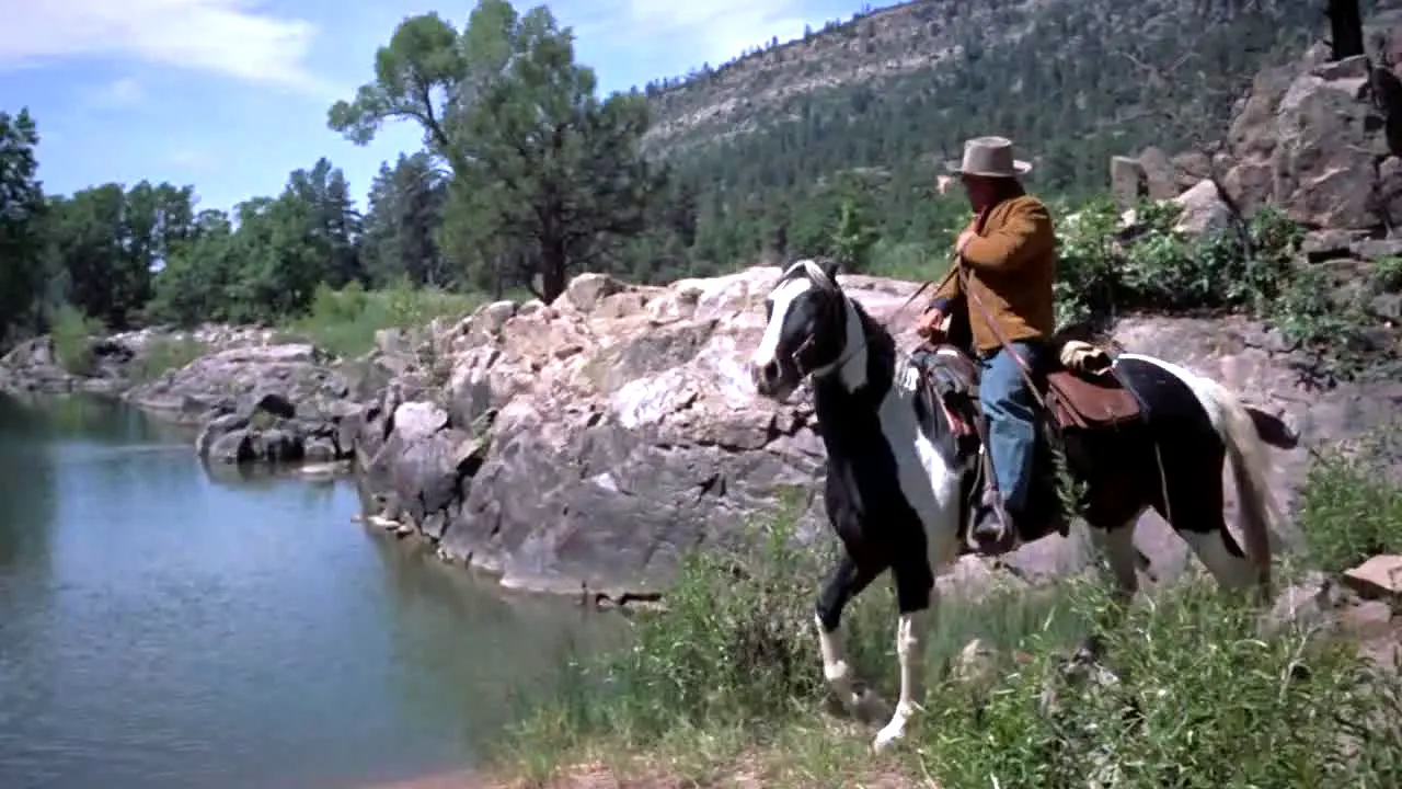 Bronco live