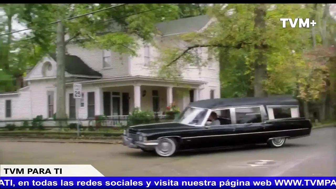 TVM para ti en vivo