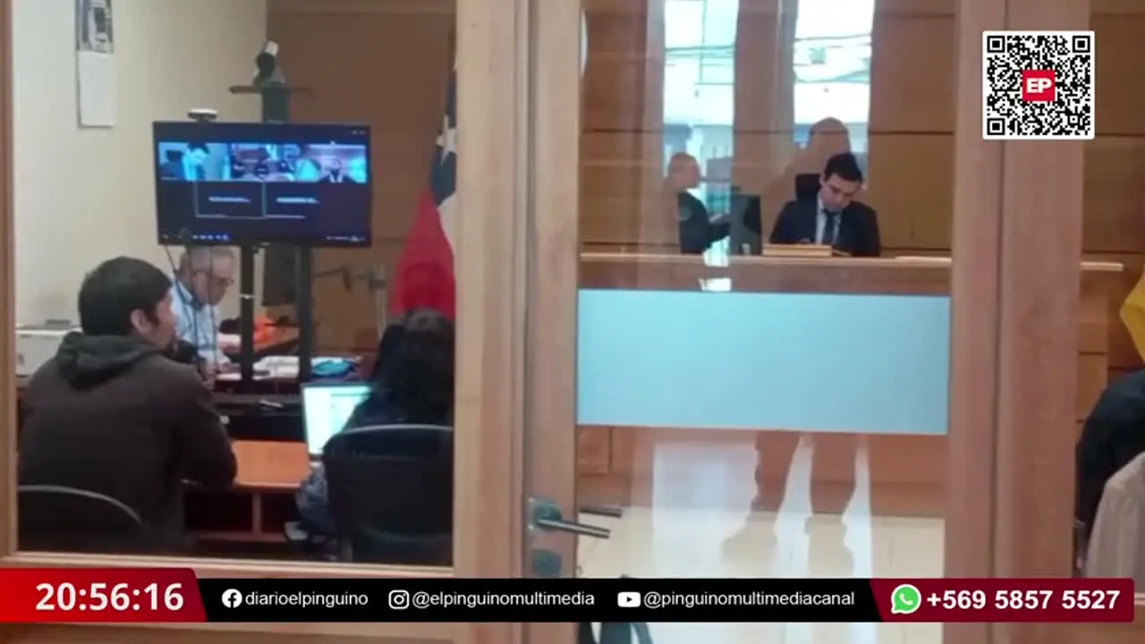 El Pingüino TV live
