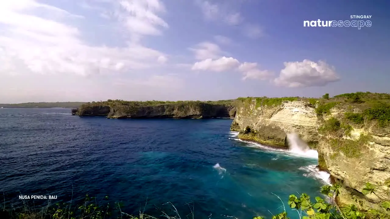 Stingray Naturescape live