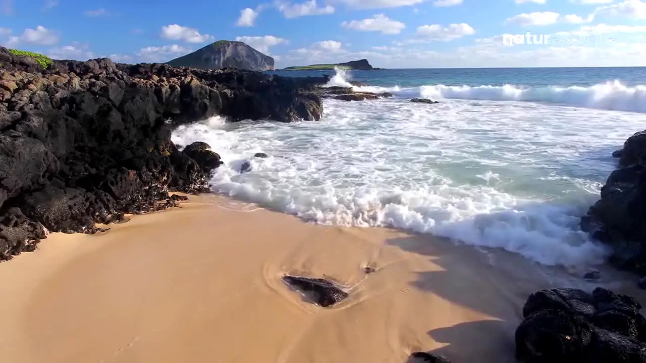Stingray Naturescape in diretta