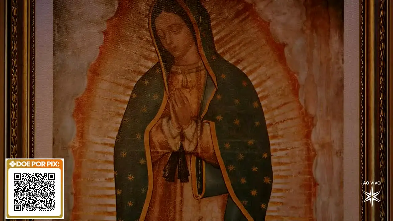 Redevida Brasil PT na żywo