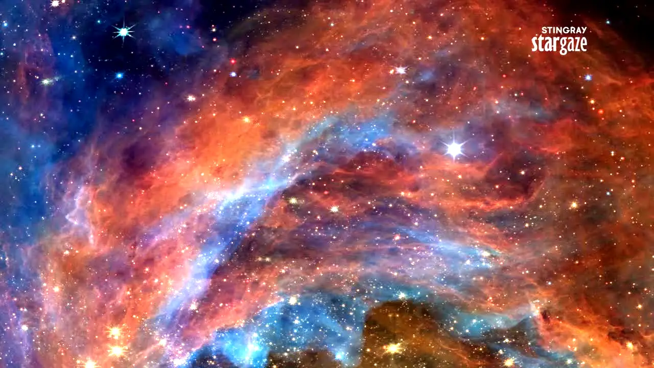 Stingray Stargaze live