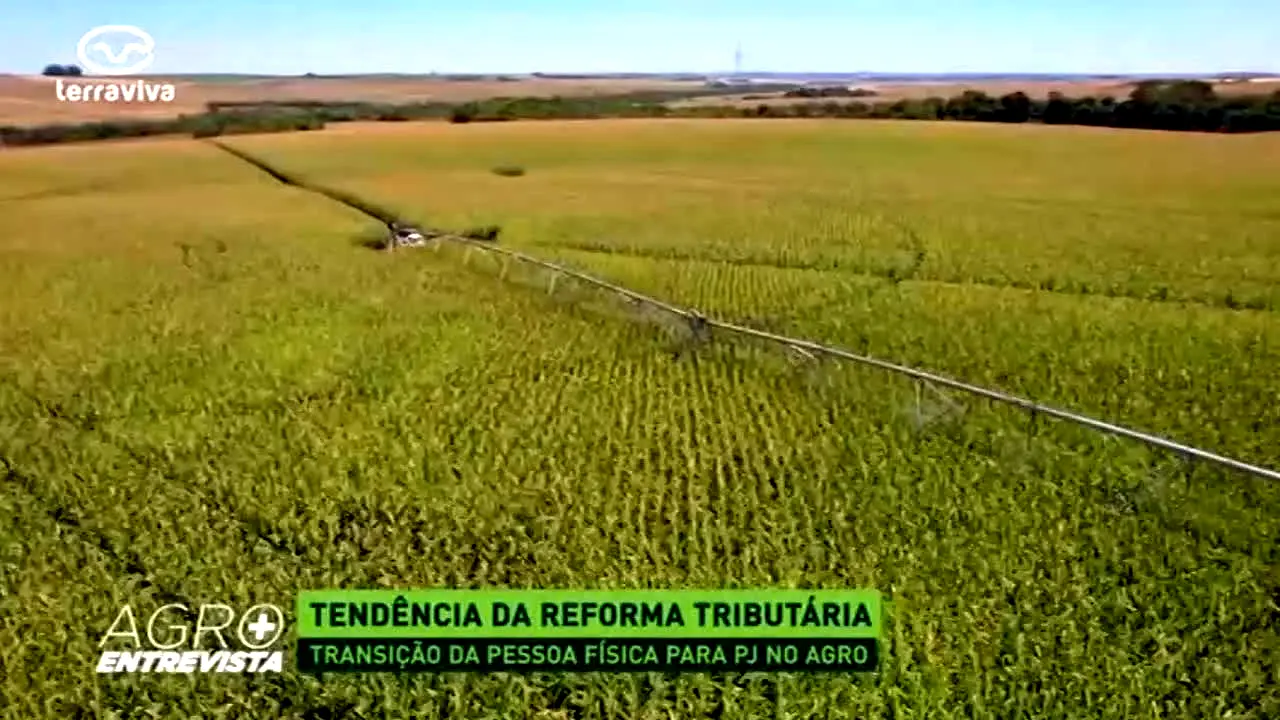 Terra Viva live