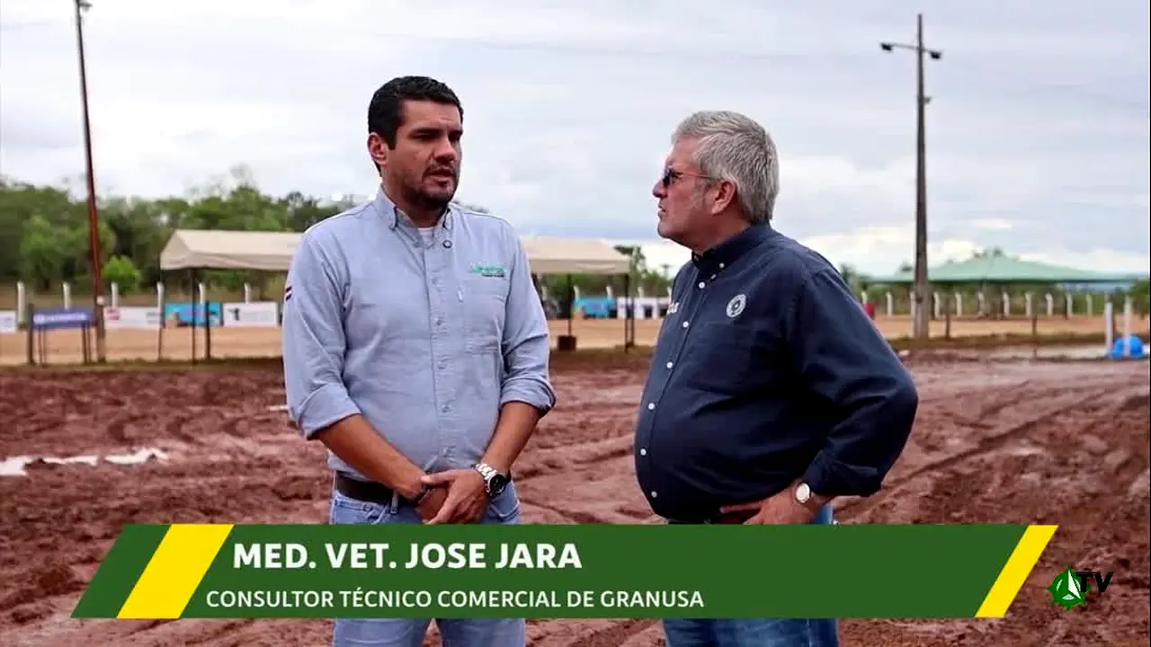 Occidental TV ao vivo