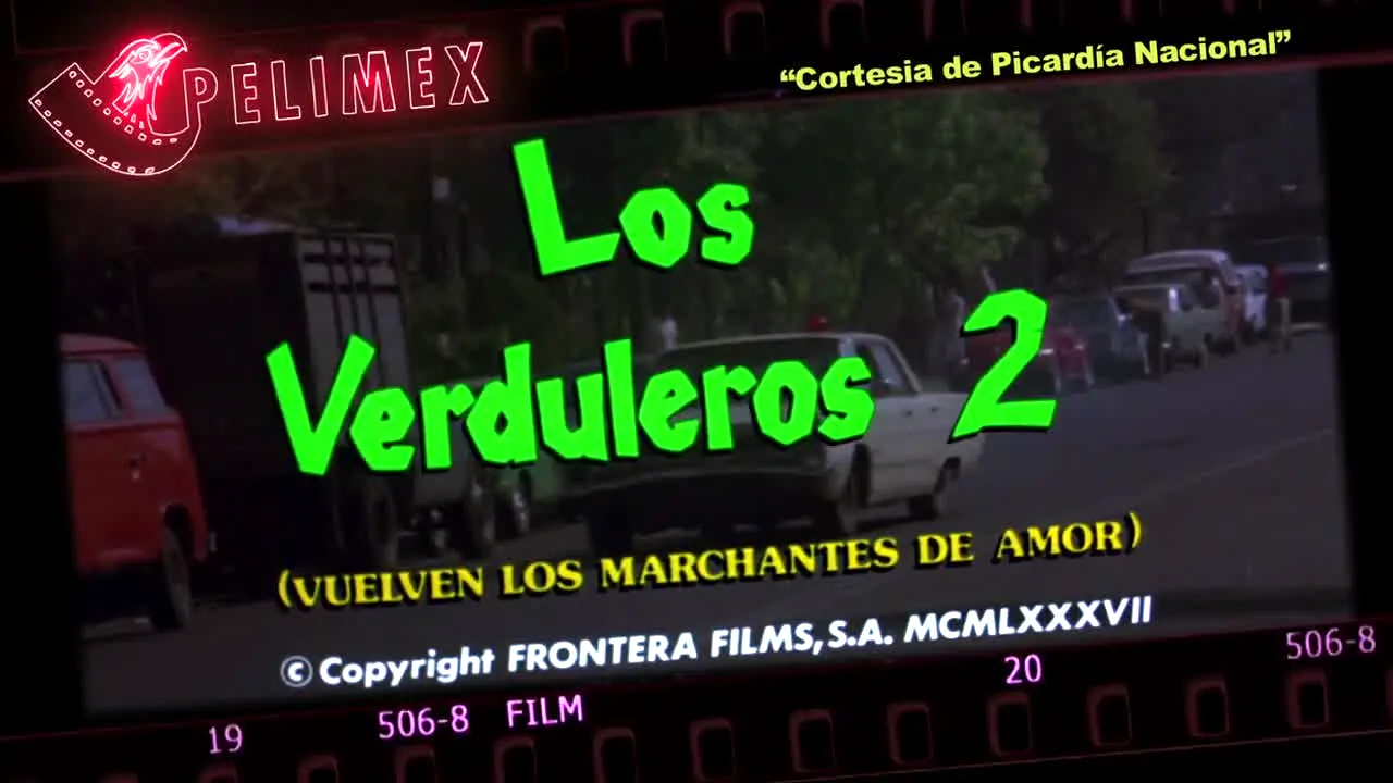 Pelimex live