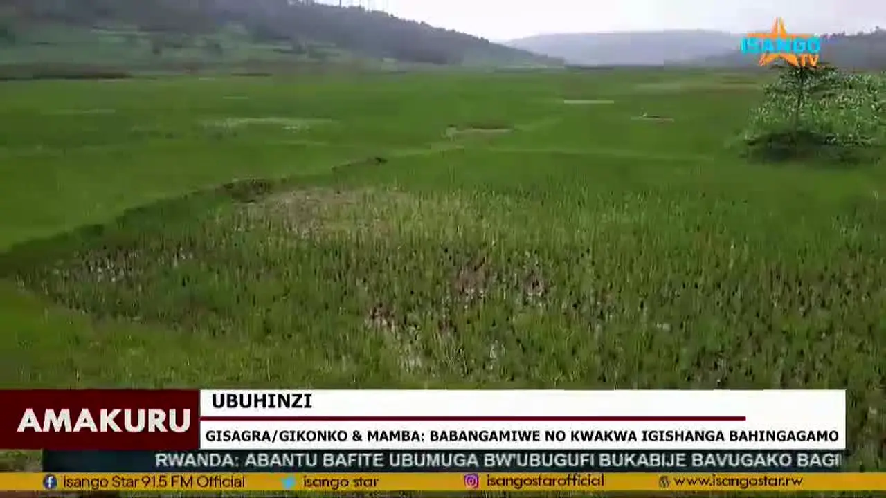 Isango TV in diretta