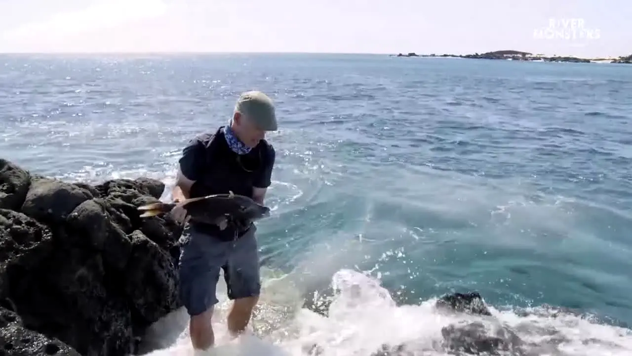 River Monsters live