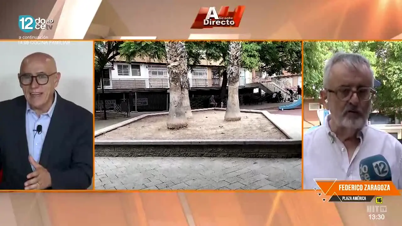 12tv live