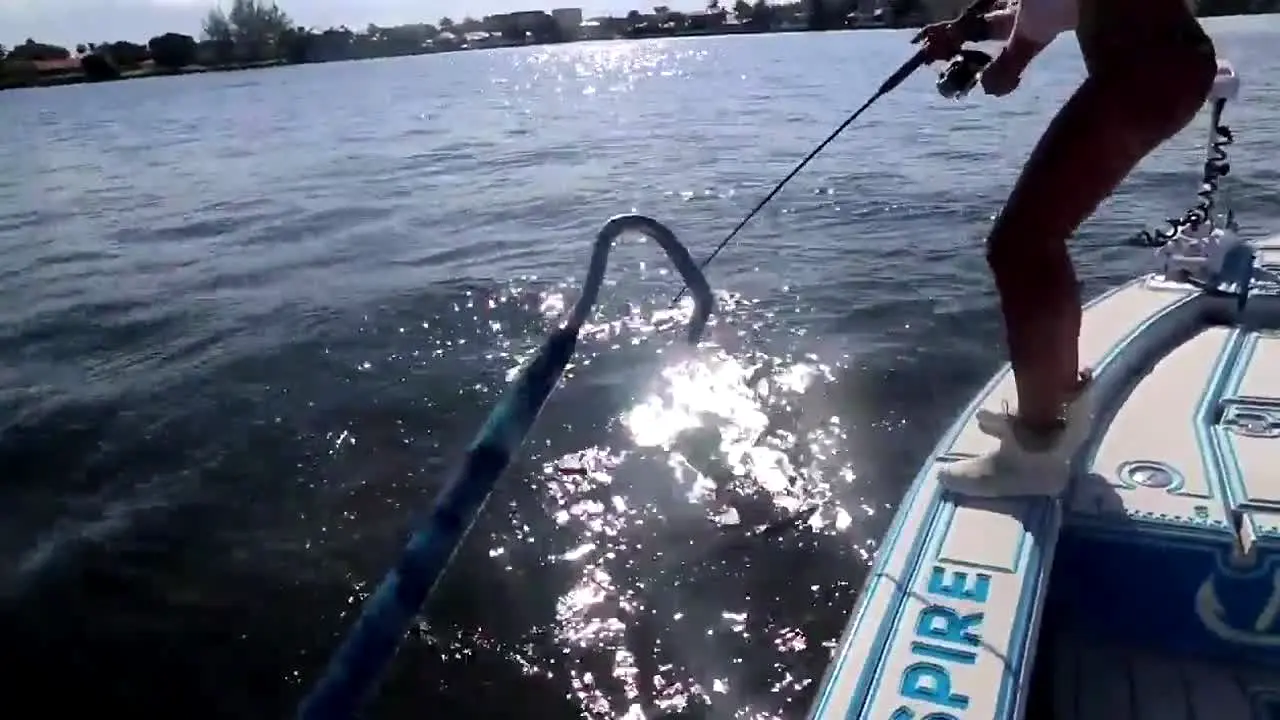 30A Darcizzle Offshore live