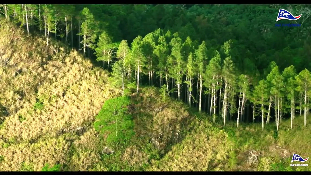 The Explorers in diretta