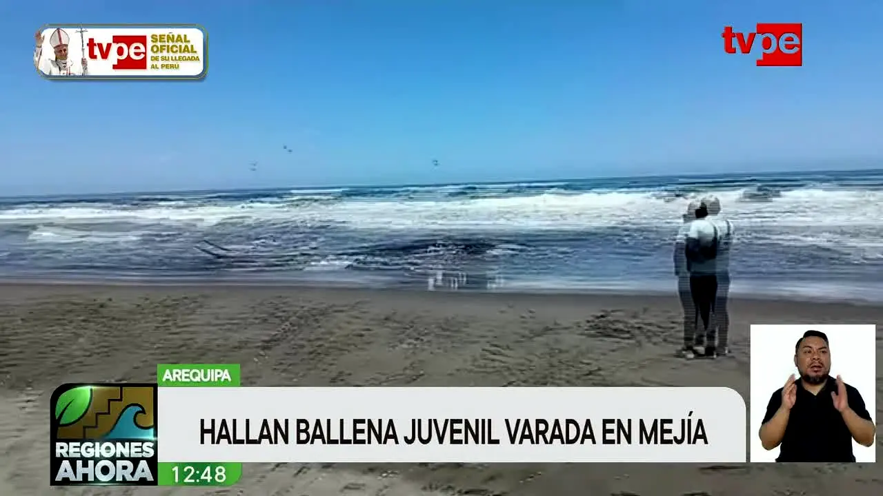 TV Peru ao vivo