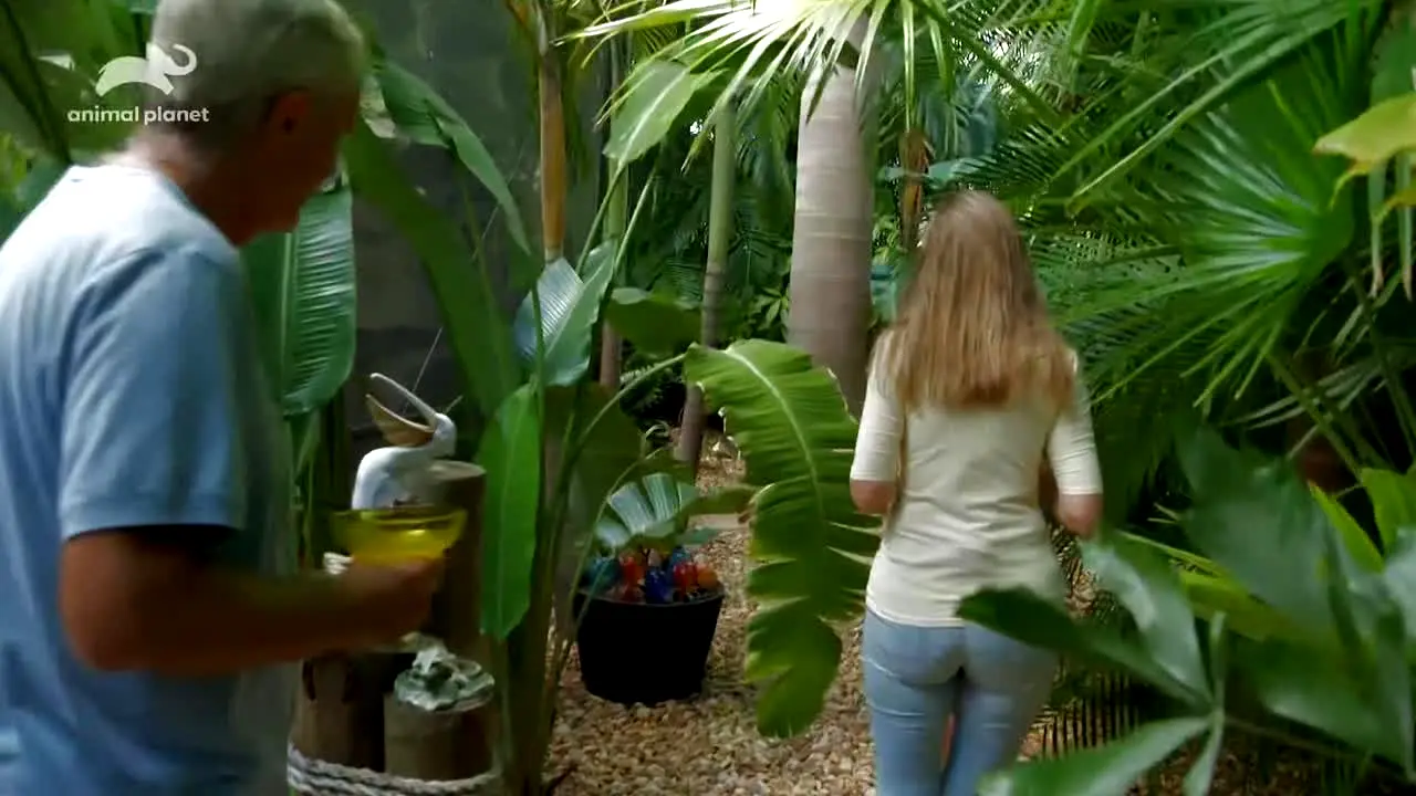 Animal Planet live