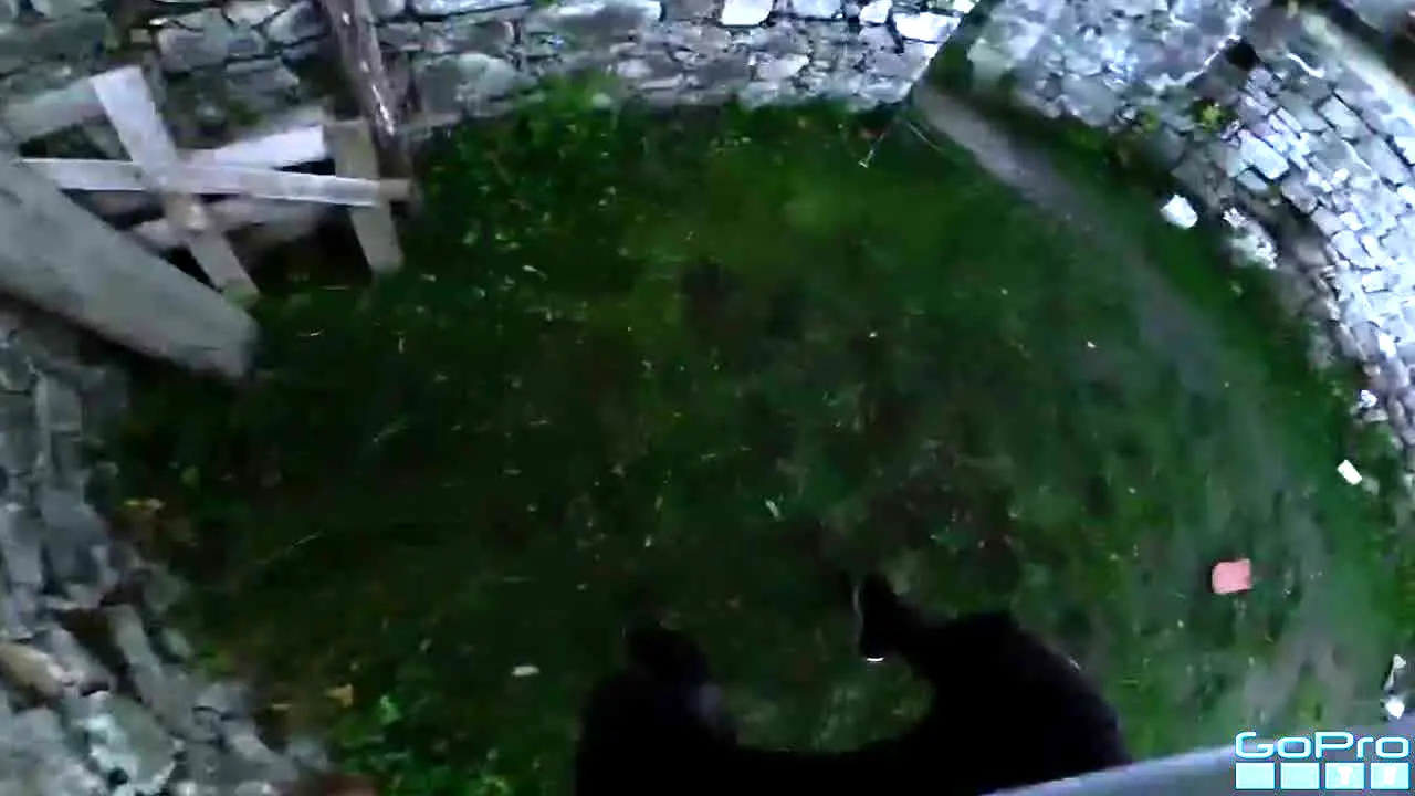 GoPro TV en direct
