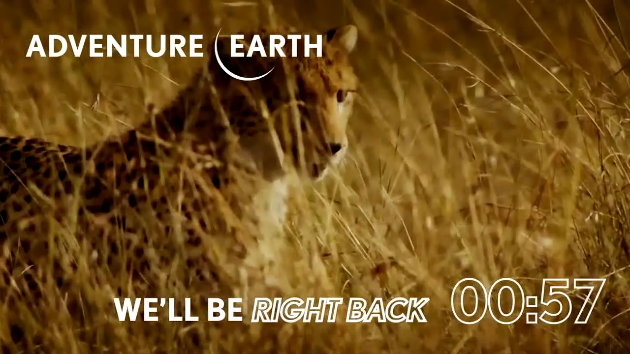 Adventure Earth in diretta
