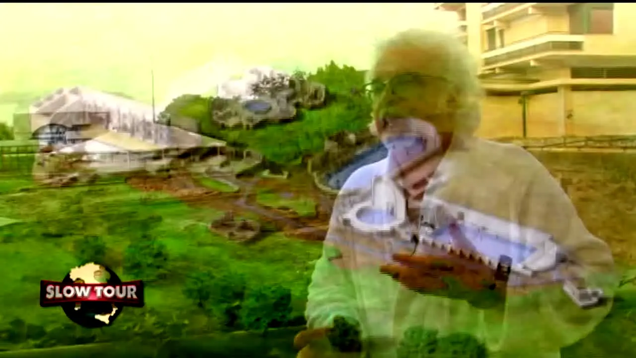 Per Caso TV na żywo