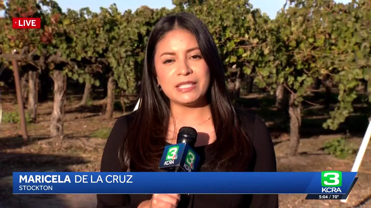 Very Sacramento by KCRA-TV live