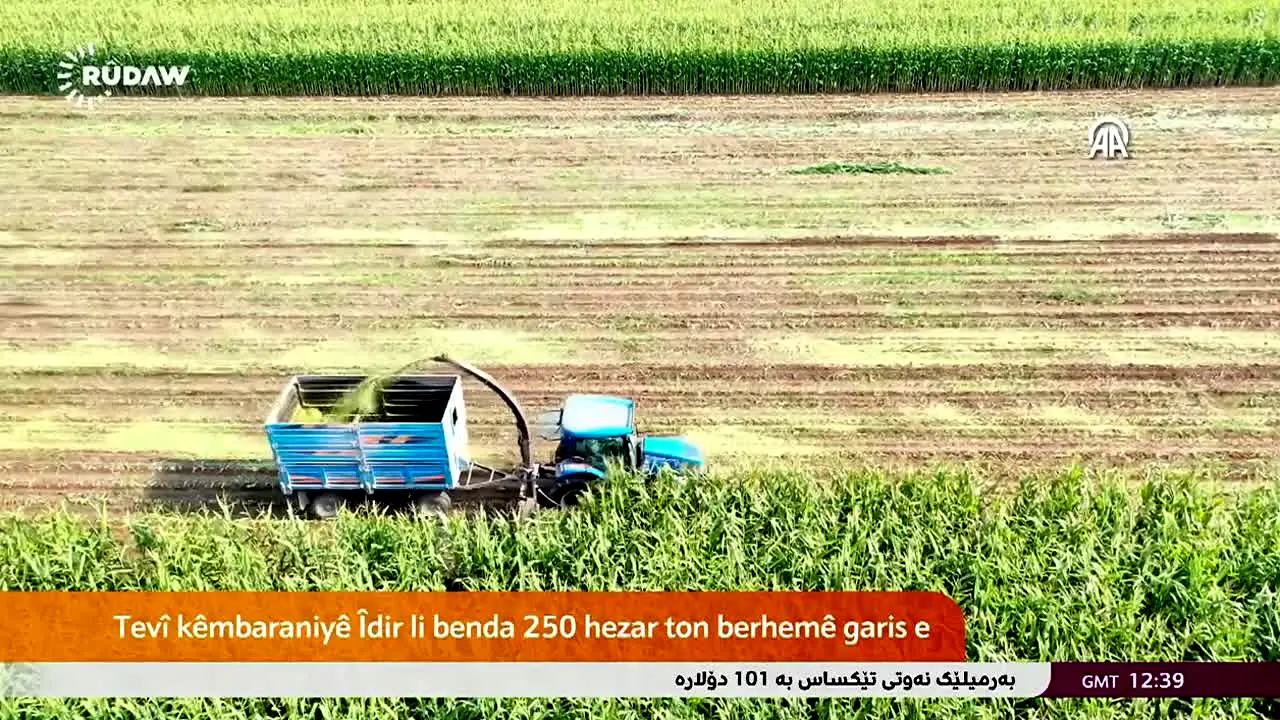 Rudaw TV ao vivo