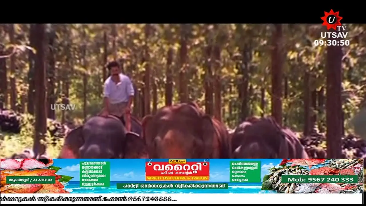 UTV Palakkad — прямой эфир