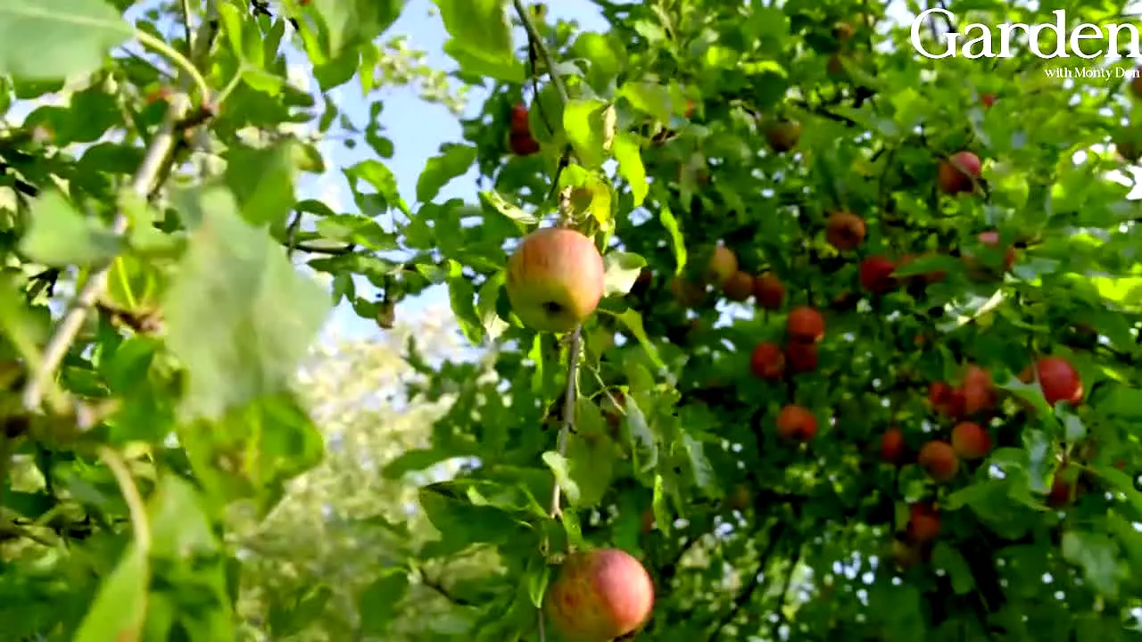 Garden with Monty Don live