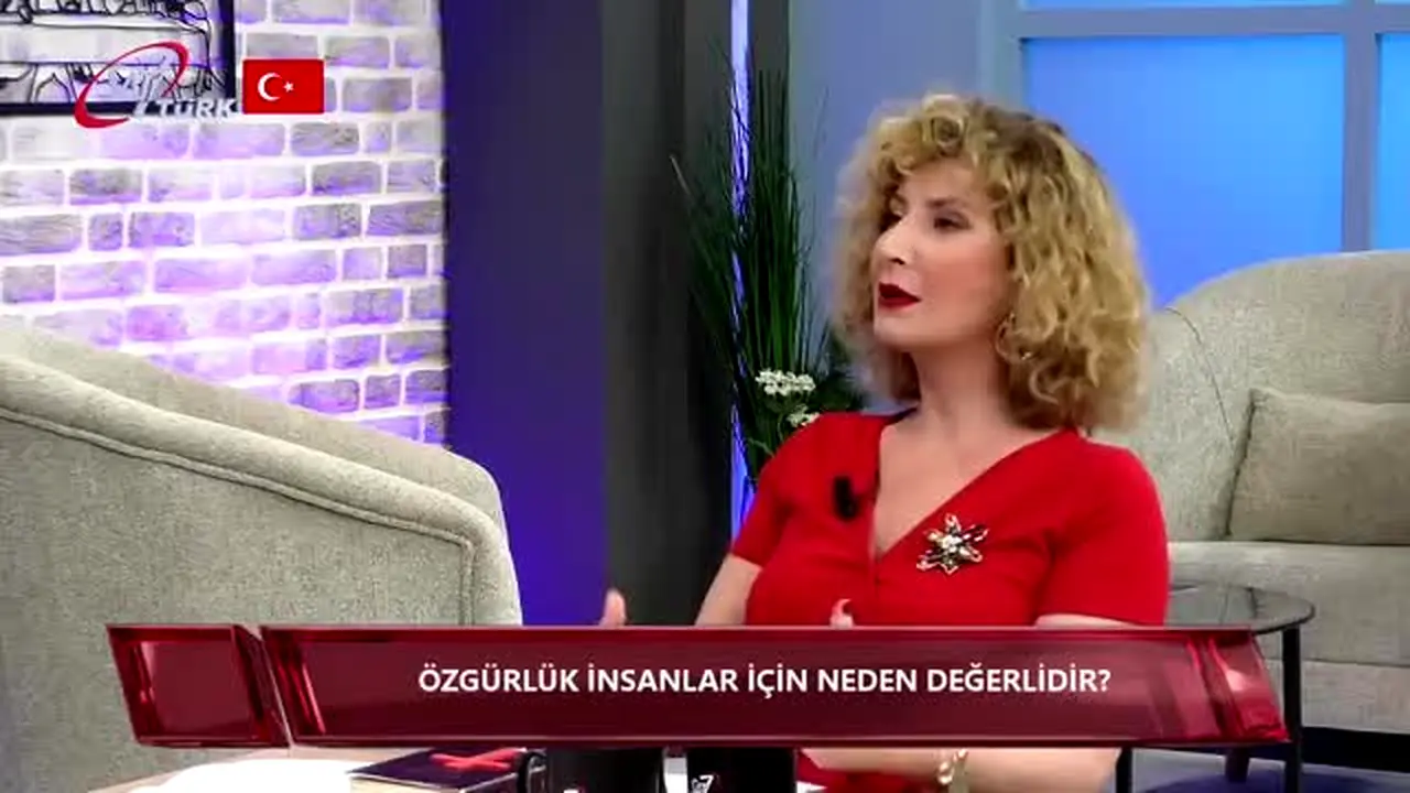 Sat 7 Türk en direct