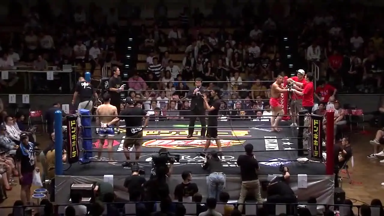 Fight Network live