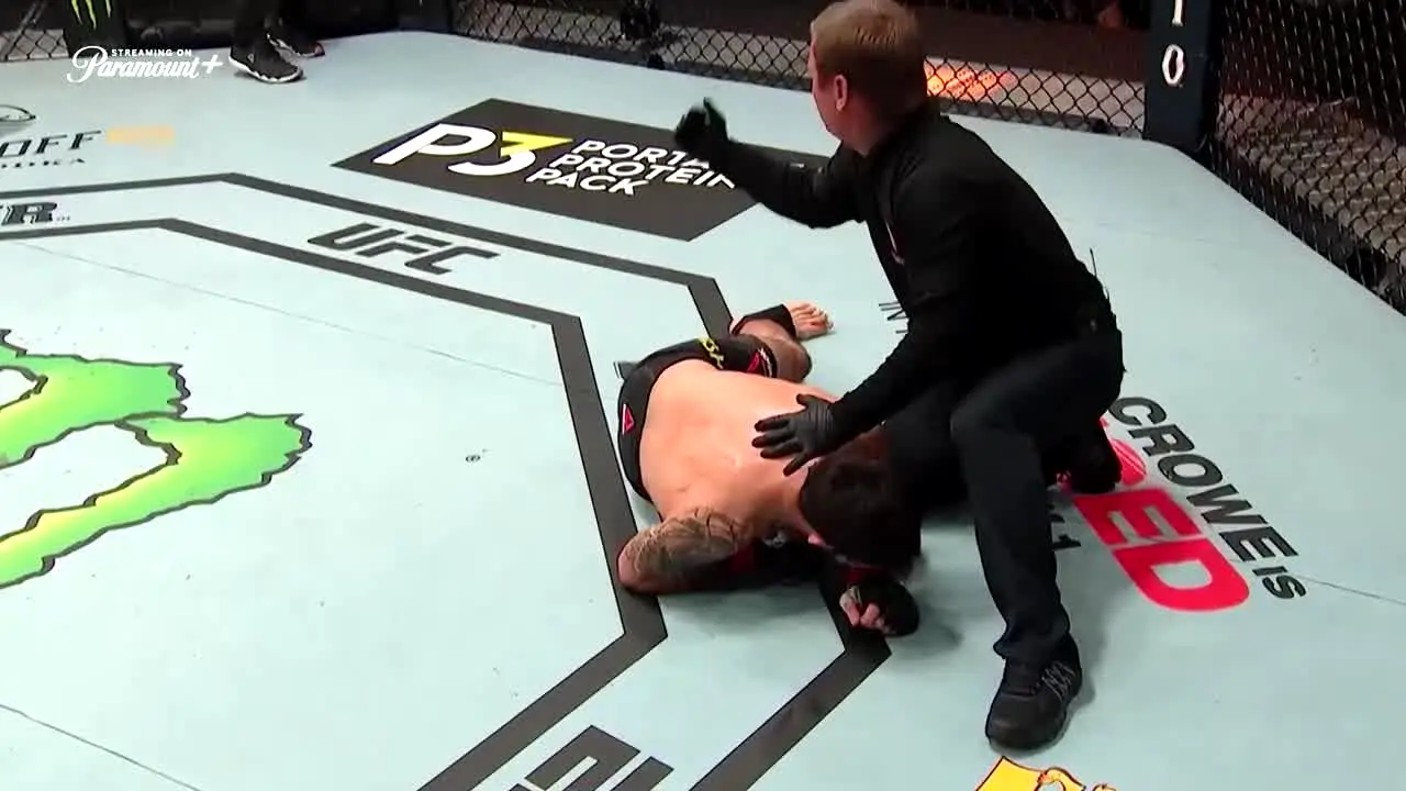 UFC live