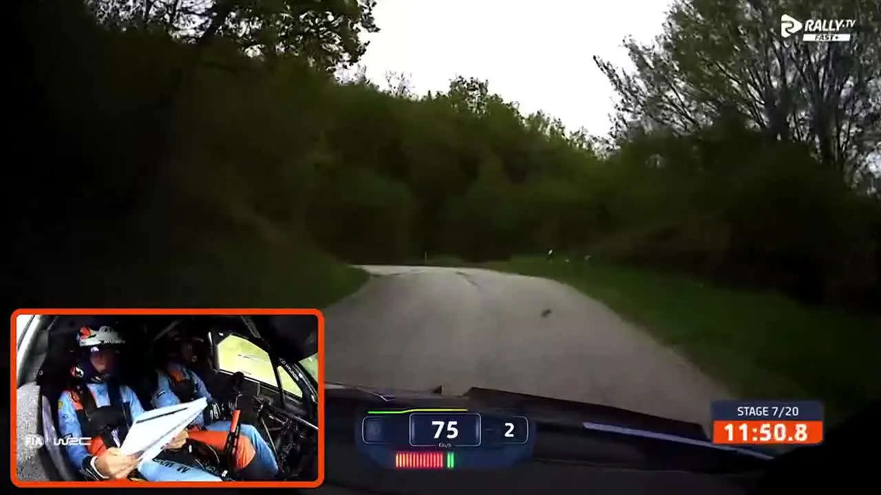 Rally TV na żywo