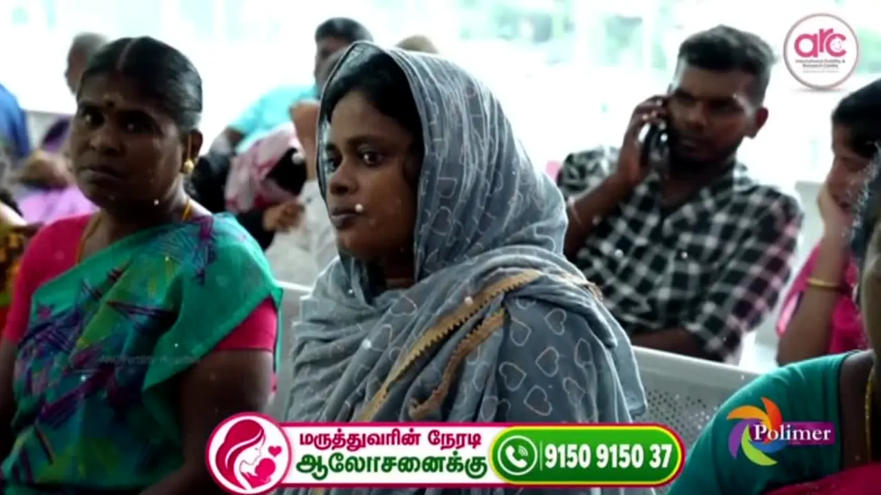 Polimer TV live