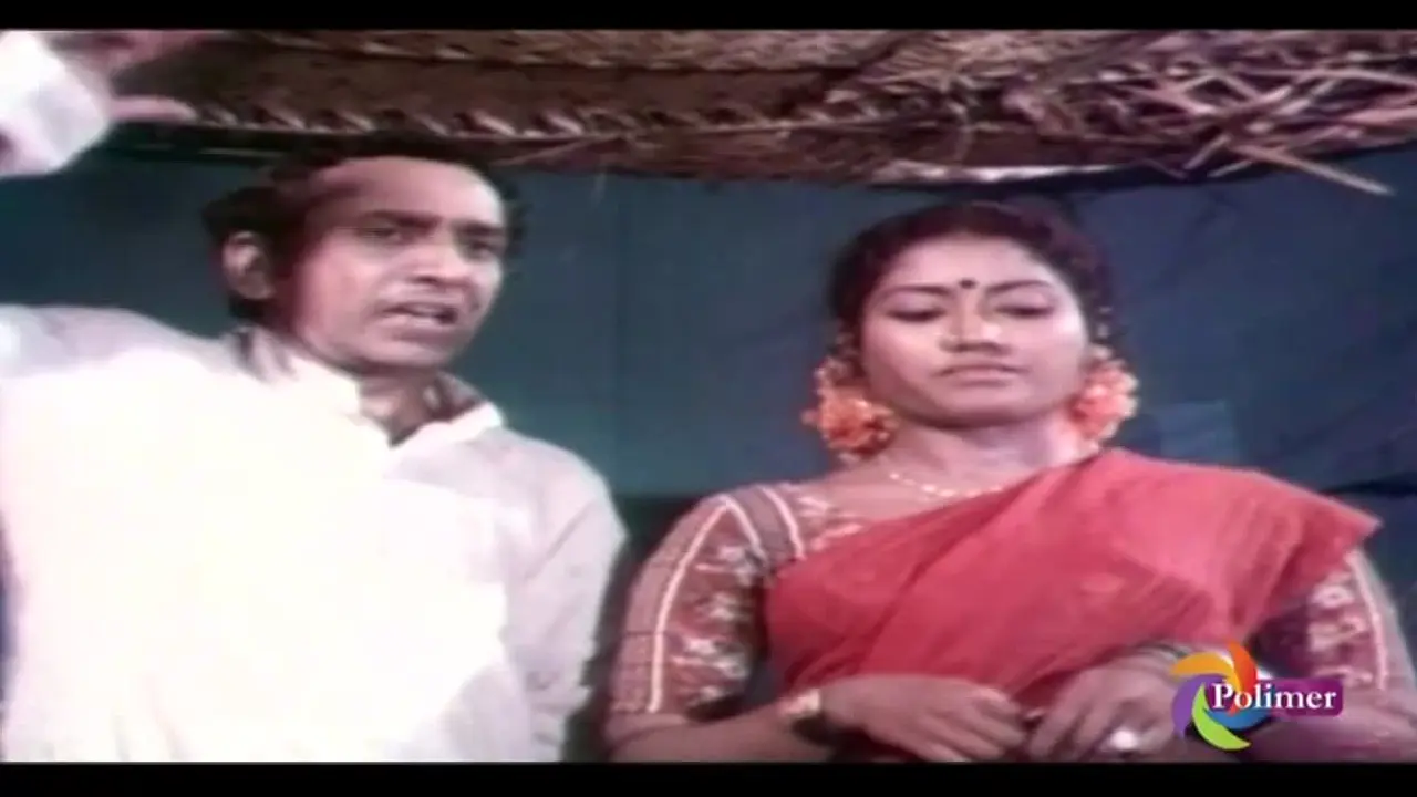 Polimer TV live