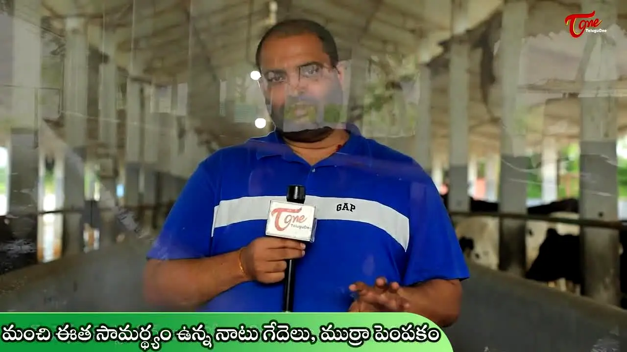 Telugu One live