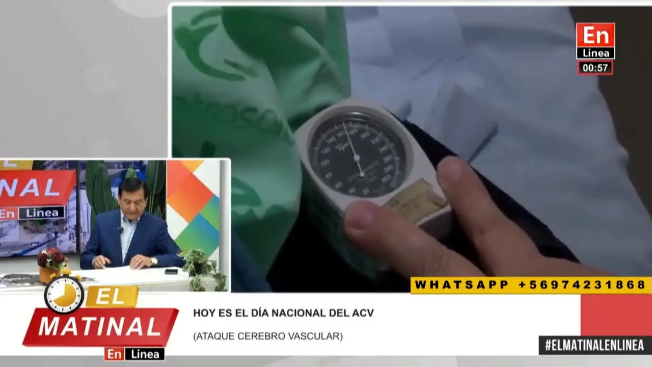 En Linea Maule na żywo