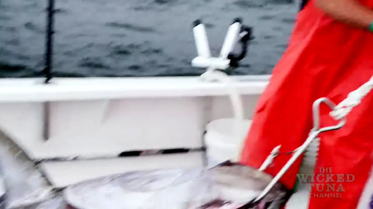 Wicked Tuna — прямой эфир