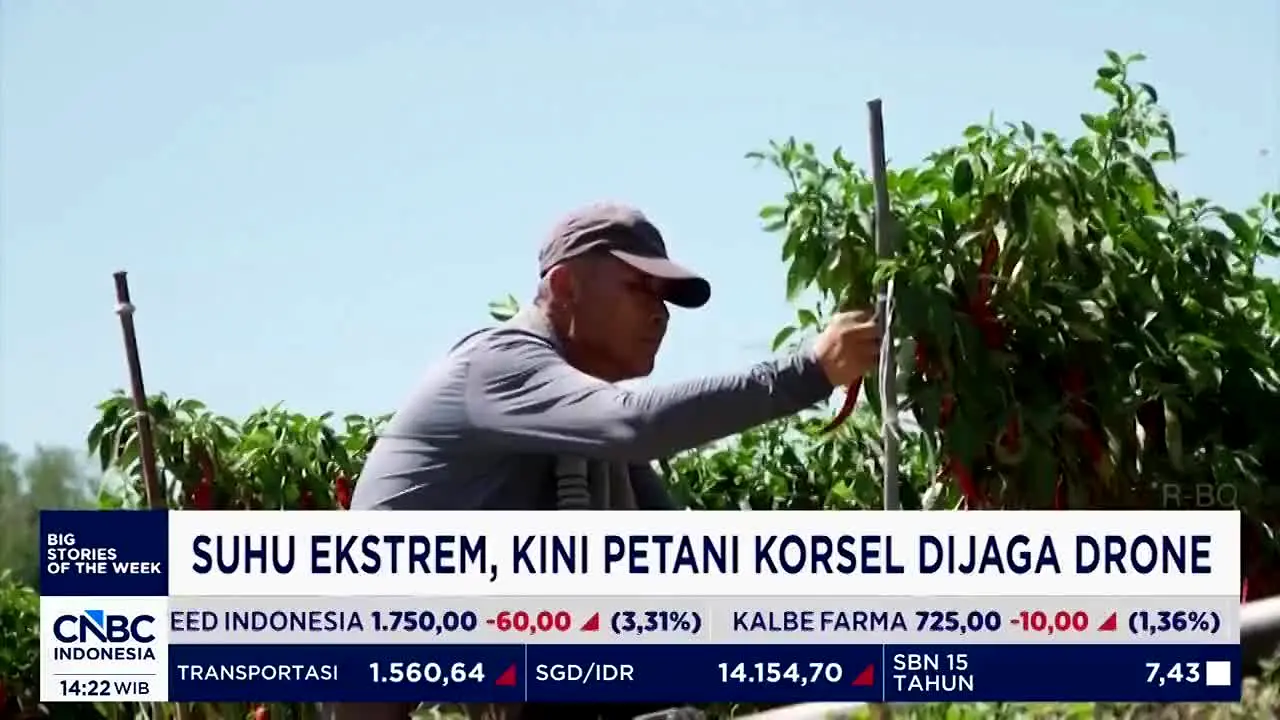 CNBC Indonesia live