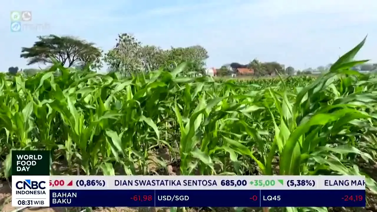 CNBC Indonesia en direct