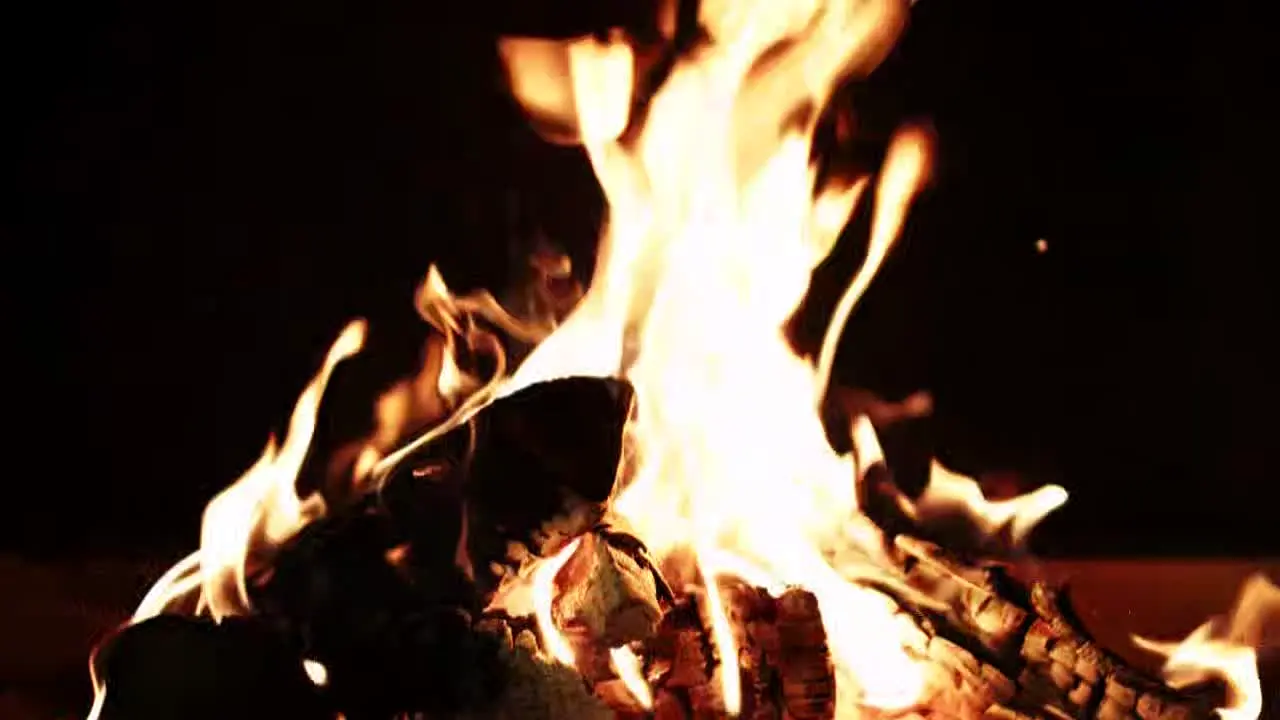 Fireplace Vibes en vivo