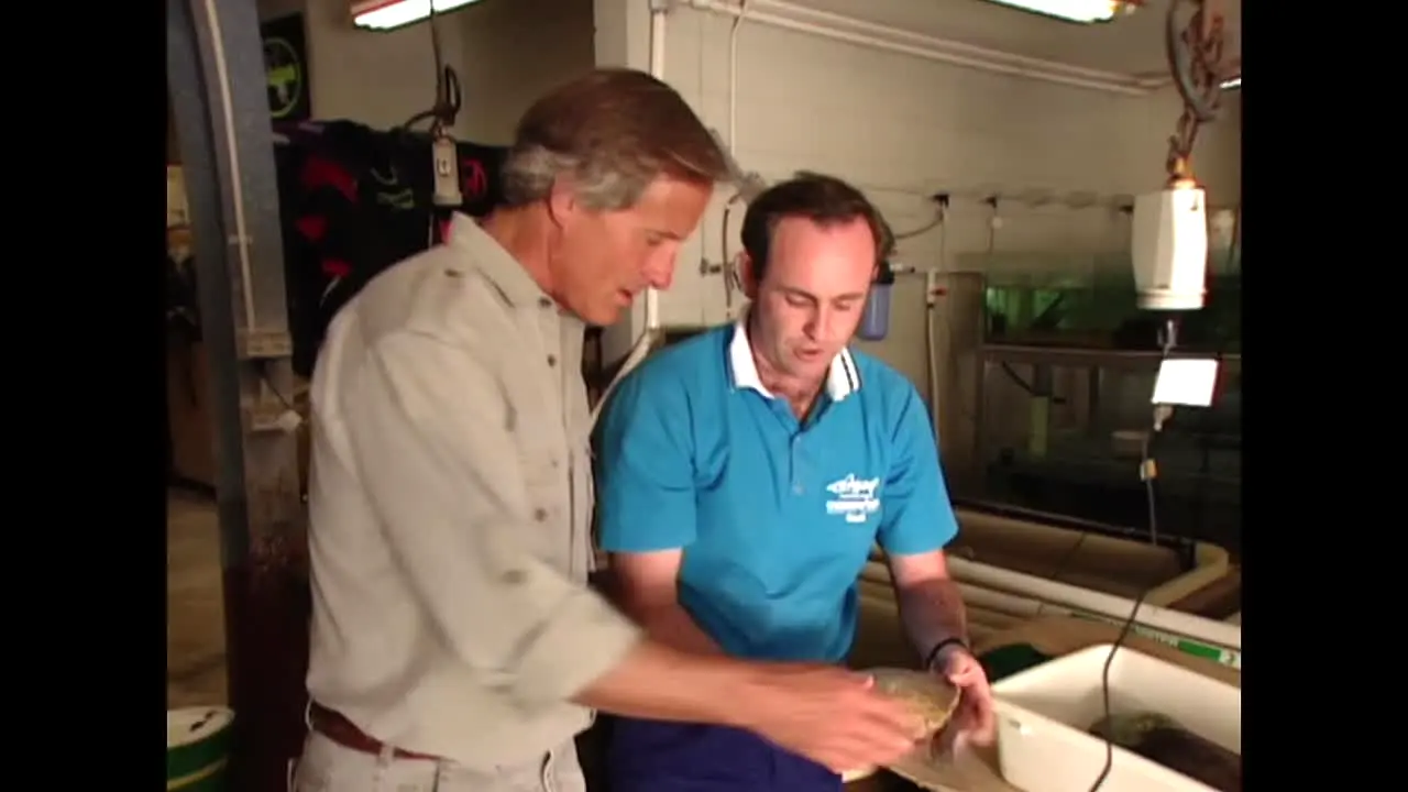 Jack Hanna — прямой эфир