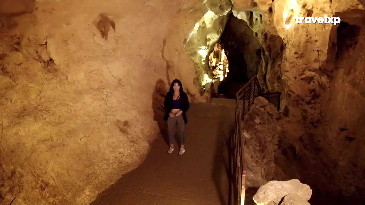 Travelxp live