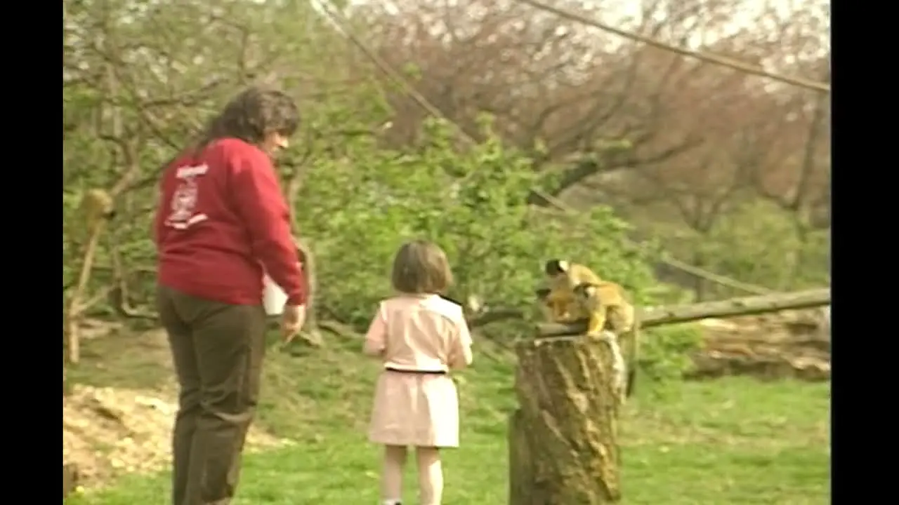 Teletubbies in diretta