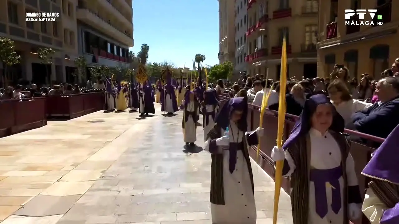 PTV Málaga live