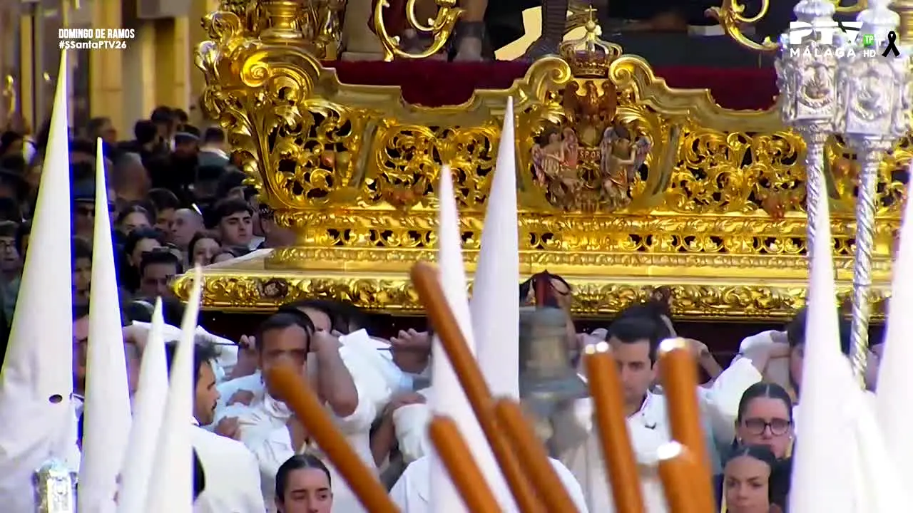 PTV Málaga in diretta