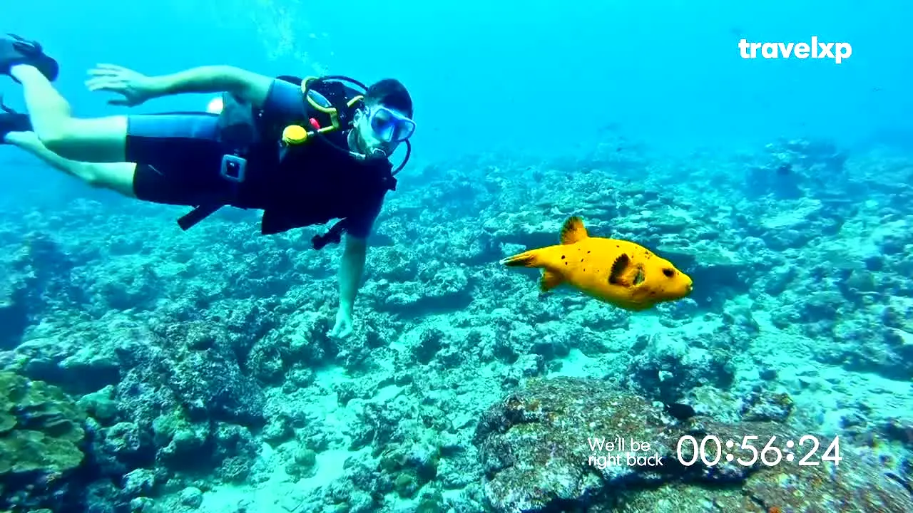 Travelxp in diretta