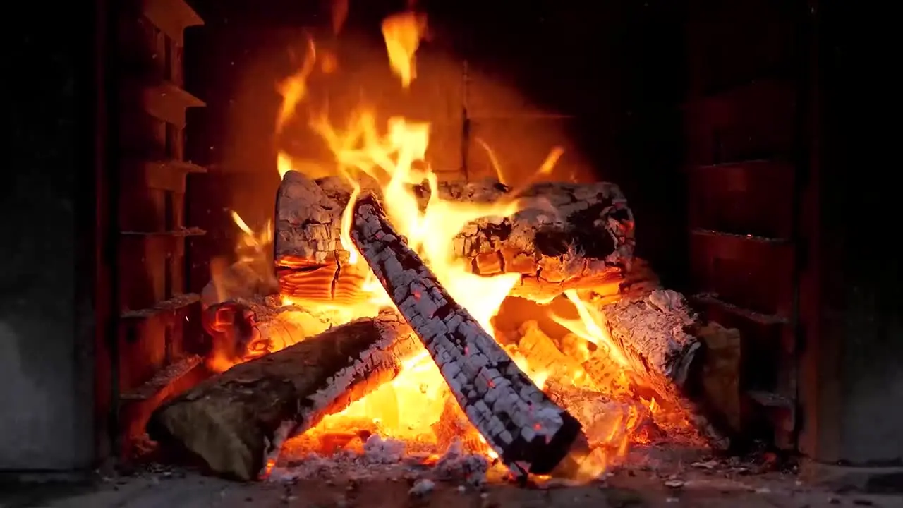 Cozy Vibes ao vivo