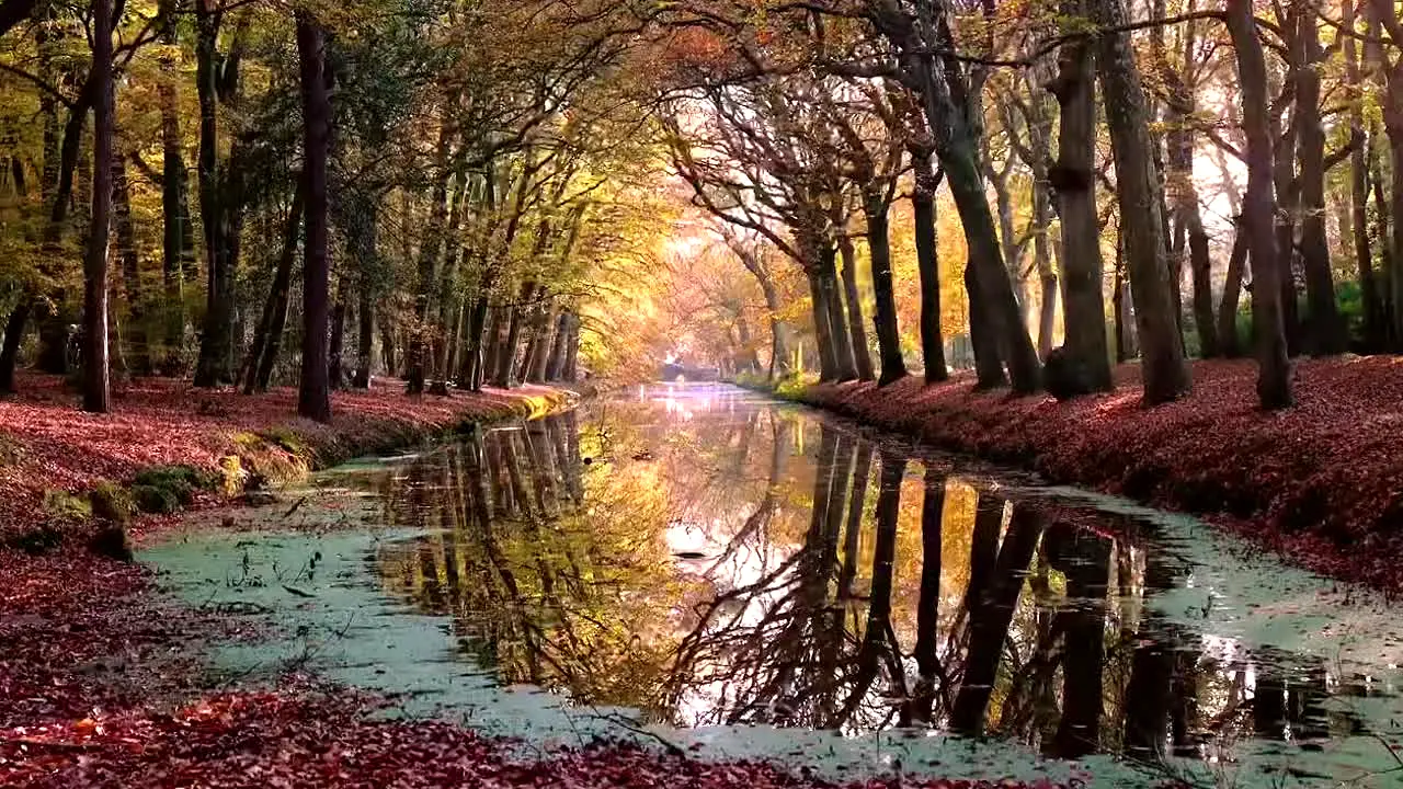 Fall Vibes — прямой эфир