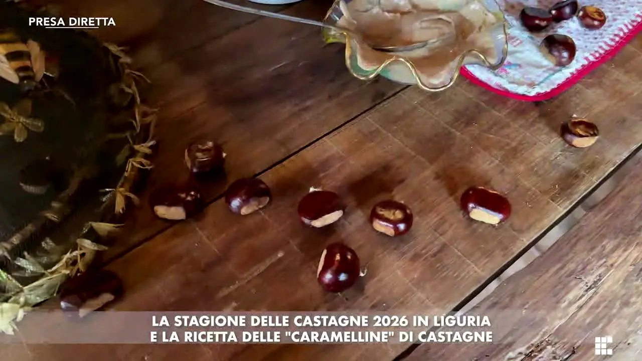 Primocanale live