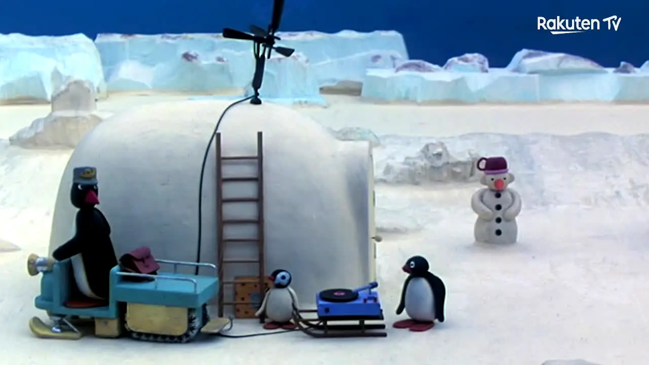 Pingu — прямой эфир
