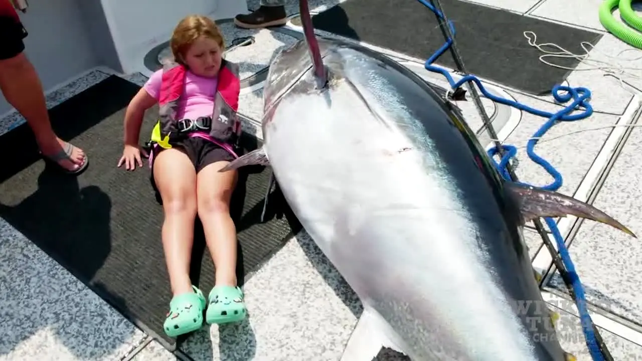Wicked Tuna live