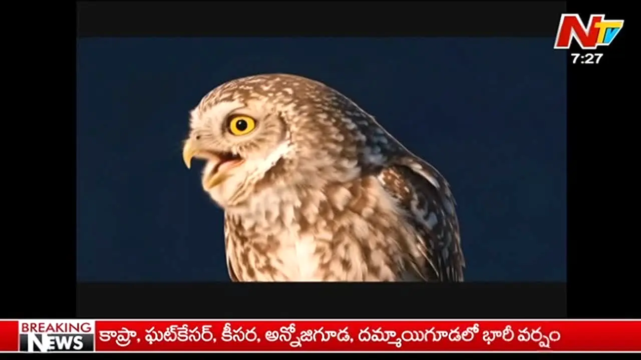 NTV Telugu in diretta