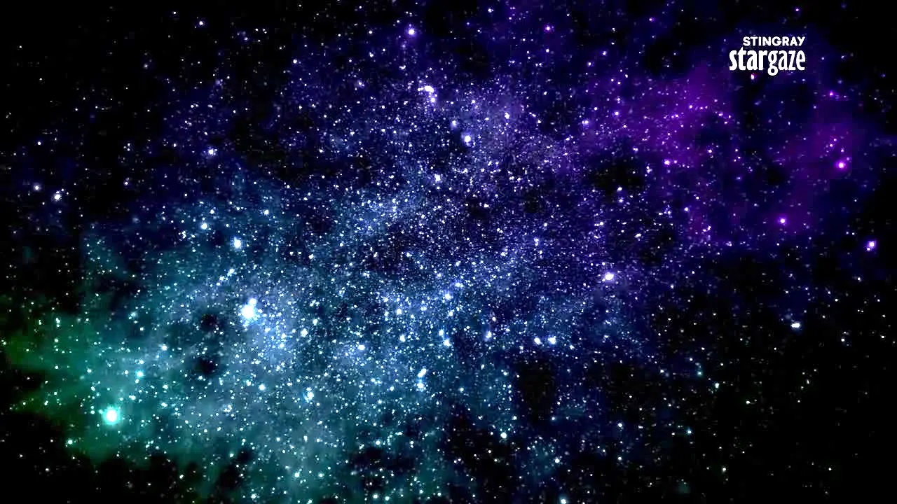 Stingray Stargaze ao vivo