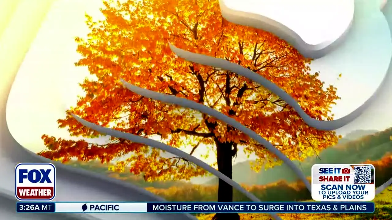 FOX Weather en direct